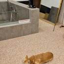 반스힐리조트 이미지