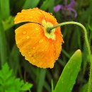 중계근린공원 이미지