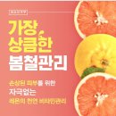 참조은피부