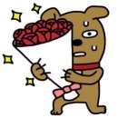 완동 이미지
