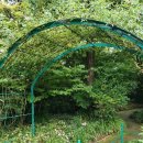 모네정원 이미지