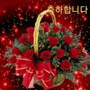 희망바다협동조합 이미지
