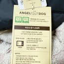 도그픽 | 소형견 입히기 편한 패딩 추천 엔젤도그 개따뜨텍 예약구매 후기 (내돈내산)