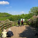 경기도 남양주 가볼만한곳 축령산 서리산 철쭉 등산 코스