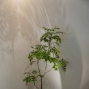 세련공방