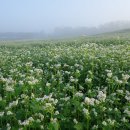 순광농장 이미지