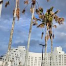 260510 괌 3일차 ㅡ 모닝런, 비치인쉬림프, 호텔 프로그램 및 라운지 정복기 🌴