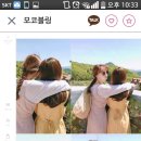 핑크블링 이미지