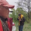 음봉할머니집, 원조음봉할머니집 이미지