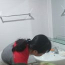 바오로아람터 이미지