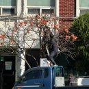 사천축사 | 25년 12월 일상 - 두쫀쿠 내놔 🔫