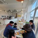 해피데이애견 이미지