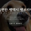 펫브라더스 이미지
