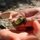 새소리민박 이미지