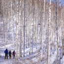 인제13-1 이미지