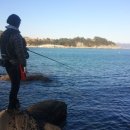 미하스빌 이미지