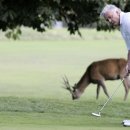 DK 골프클럽 이미지