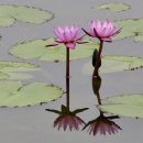 쉬어갑시다 이미지