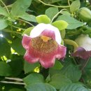 봄여름가을이야기 이미지