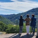 무등산바우정원 네이버블로그