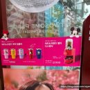 투썸플레이스 피치생, 금귤생 조각케익 :: 신상 한정 케이크 후기 및 콜라보