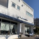 대전 노은동카페 노은역카페 카운티스카페 다쿠아즈 솔직후기