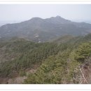 산풍목장 Daum카페