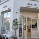 MOND501 | 몬드래쉬_대구혁신도시 속눈썹연장👍🏻