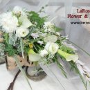 릴리플라워 이미지