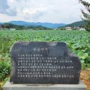 유등연지입구 이미지