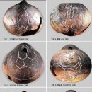 신화그린 이미지