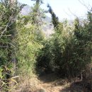 옥녀봉식당 이미지