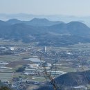 운주목재