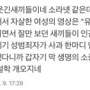 신동욱 &#34;故조민기 사망, 미투운동 아니라 데스노트 꼴&#34; 이미지