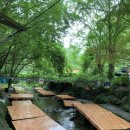 금대리집 이미지