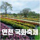 전곡읍-24 | 연천 국화축제 개화현황 먹거리 주차 셔틀버스 정보