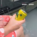 자유 대중탕 | 대만 베이터우 온천 당일치기 프라이빗 대중탕 비교