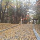 웃말어린이공원 이미지