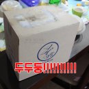 그루까까 반려동물 아카데미 | [애견간식 궁] 궁에서 신제품 &#39;트레이닝 타임&#39;이 도착했어요!