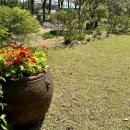 사라의 정원 이미지