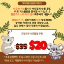 별빛투어주 | [시드니]시드니 여행 필수 코스 |블루마운틴+페더데일+별빛투어 내돈내산후기 | 호주무한투어 혜택