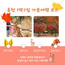 숲속 동키마을 캠핑장 | 1박2일 가을여행 추천 홍천 가족여행