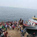 비석태양광발전소 이미지