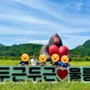 학포웰빙가 | 울릉도 여행 3일차
