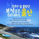 [여행 카드] 그대가 잘 몰랐던 보석같은 우리바다, 울산 이미지