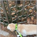 수원-2057 이미지