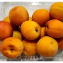 신북농협 로컬푸드 직매장 이미지