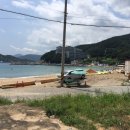 바다다음79 이미지