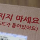 셔니샤인