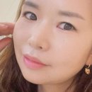 눈숲 이미지